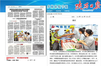 ag亚娱西北集团珑樾府项目高温慰问——《陕西日报》