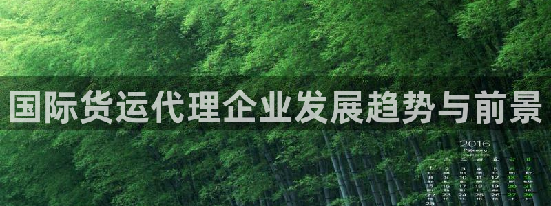 尊龙凯时人生就是博·(中国)官网官：国际货运代理企业发展