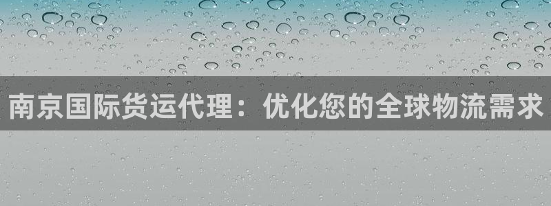 尊龙凯时登陆：南京国际货运代理：优化您的全球物流需求