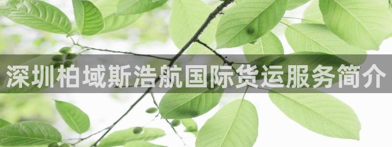 尊龙凯时代理佣金发不发：深圳柏域斯浩航国际货运服务简介