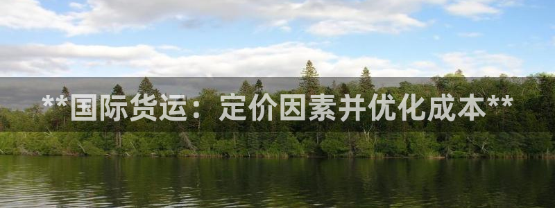 尊龙d88官网登录：**国际货运：定价因素并优化成本**