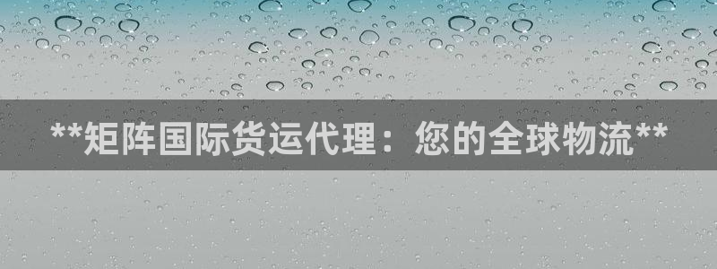 尊龙 下载：**矩阵国际货运代理：您的全球物流**