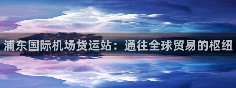 ag尊龙怎么样：浦东国际机场货运站：通往全球贸易的枢纽